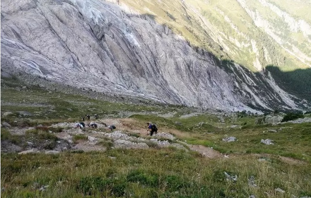 1517814796461889.jpg 图片2.jpg