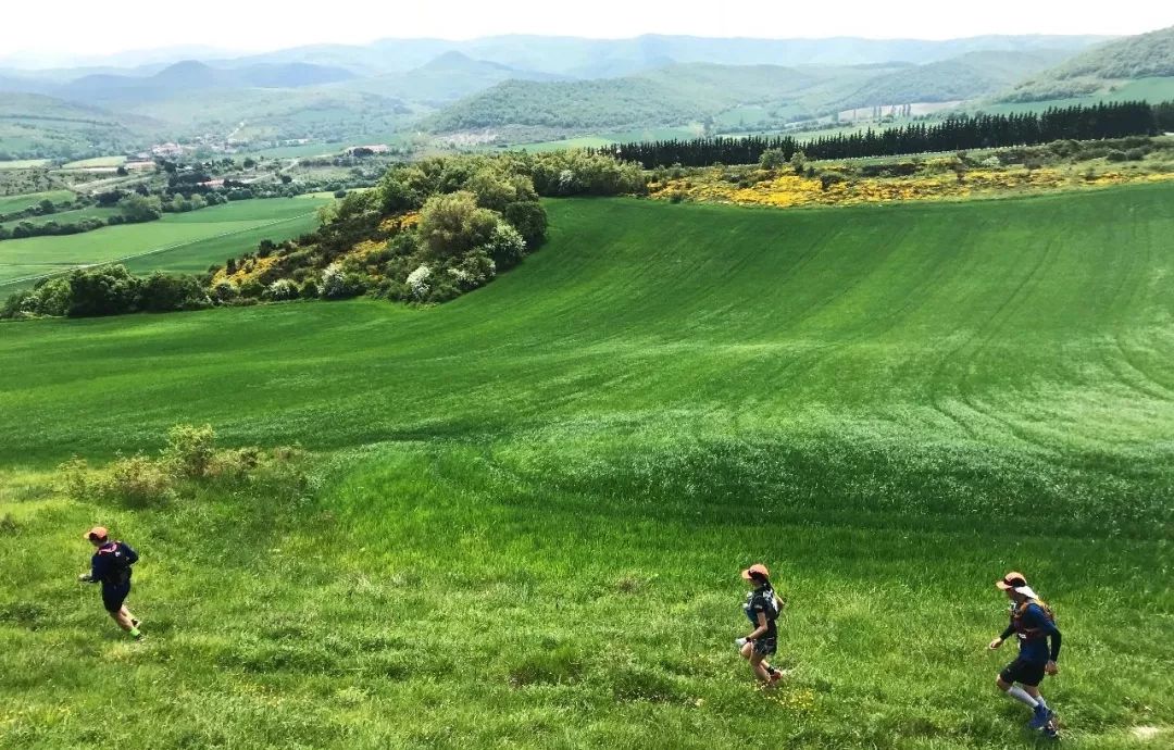 1529996400830088.jpeg 640-3.jpeg