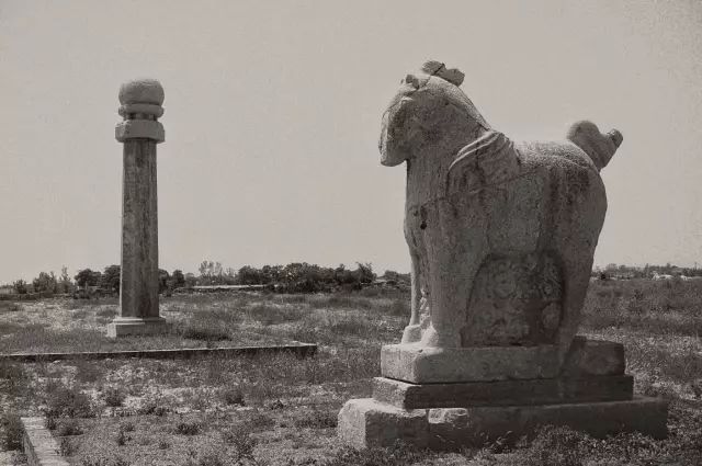 1561951065577483.jpg 1561951065577483.jpg