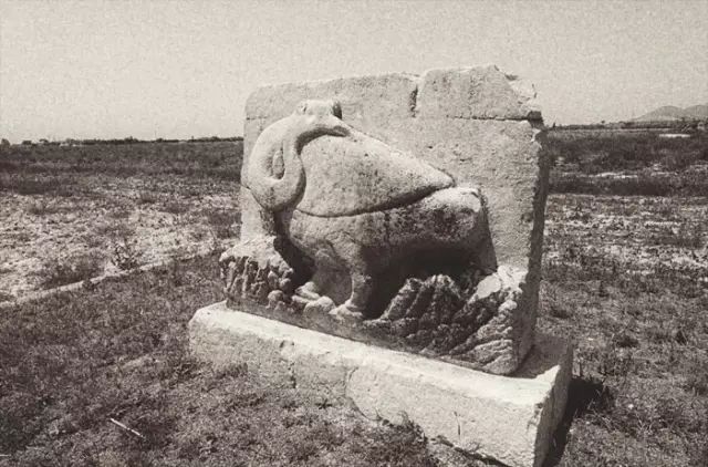 1561951083451897.jpg 1561951083451897.jpg