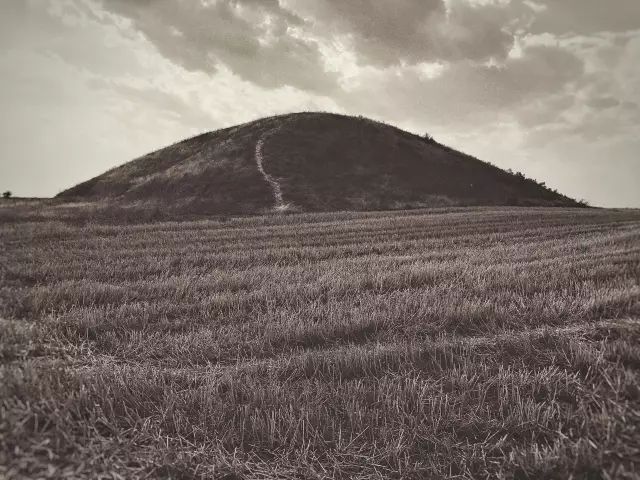 1561951116146442.jpg 1561951116146442.jpg