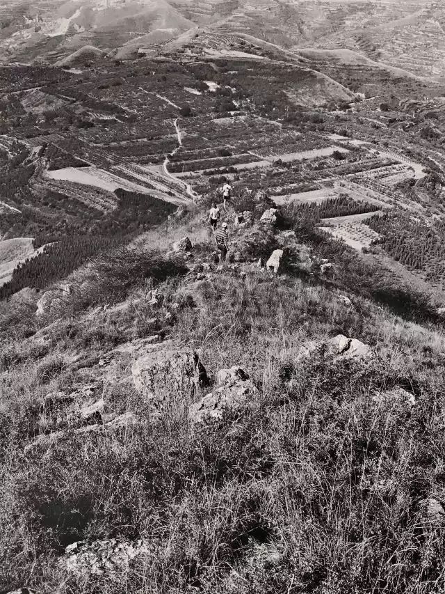 1561951143385343.jpg 1561951143385343.jpg