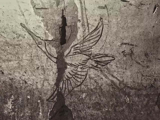 1561951243581229.jpg 1561951243581229.jpg