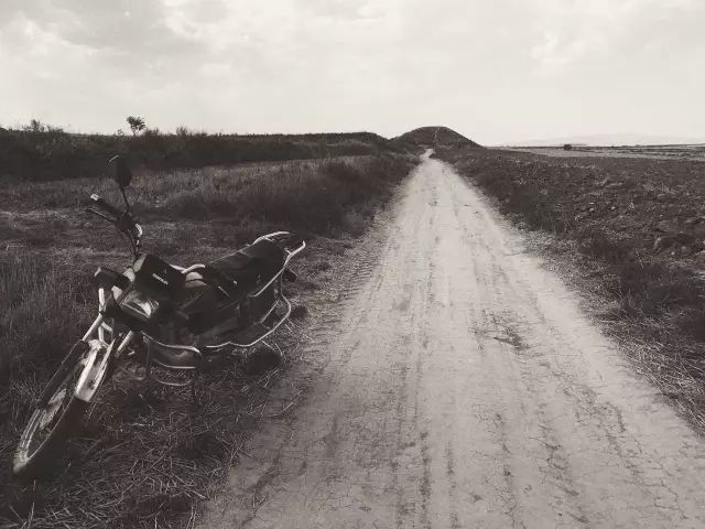 1561951392379297.jpg 1561951392379297.jpg