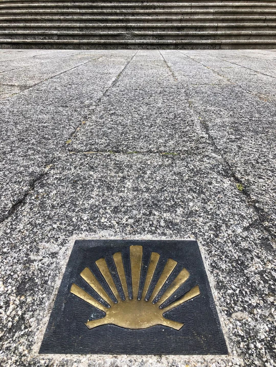 1562050711900804.jpeg 1562050711900804.jpeg