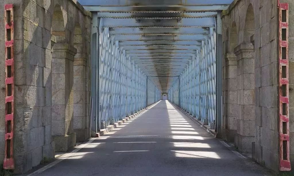 1562050773942692.jpeg 1562050773942692.jpeg