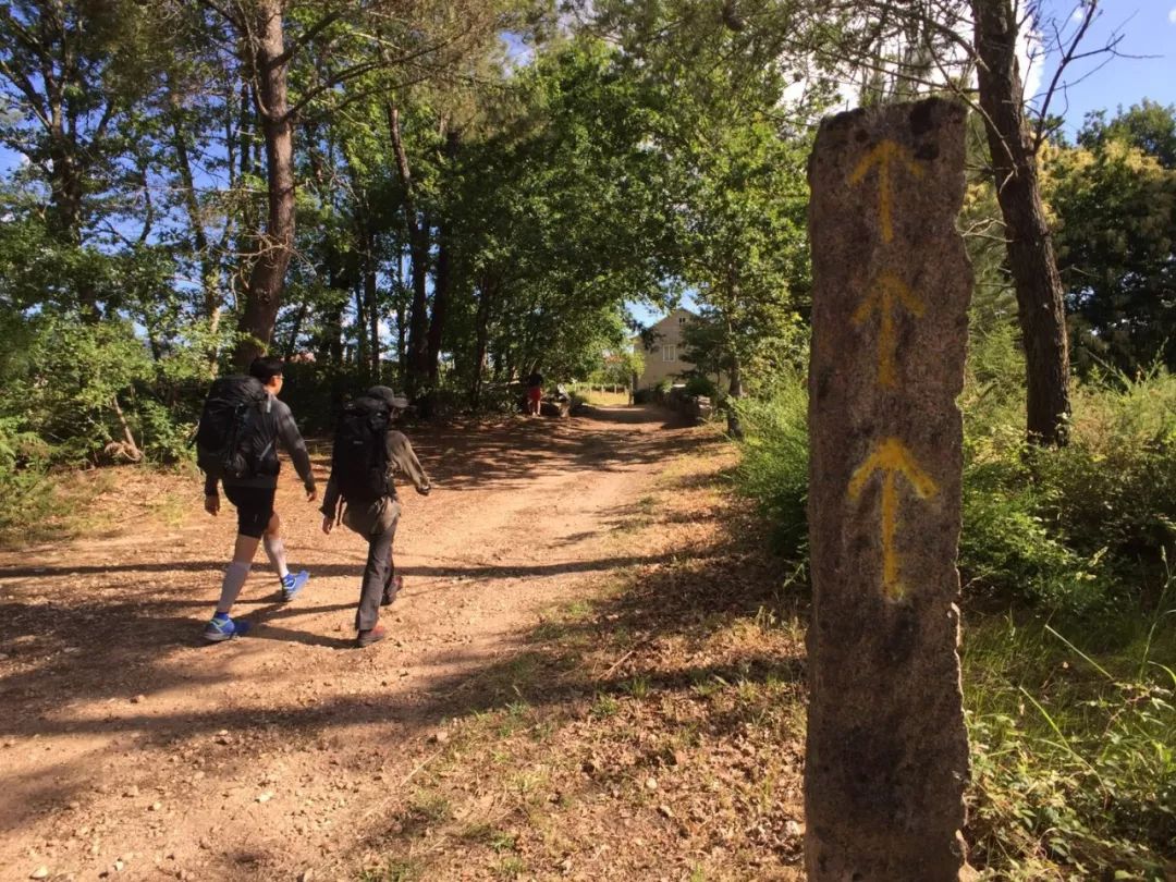 1562050917299046.jpeg 1562050917299046.jpeg