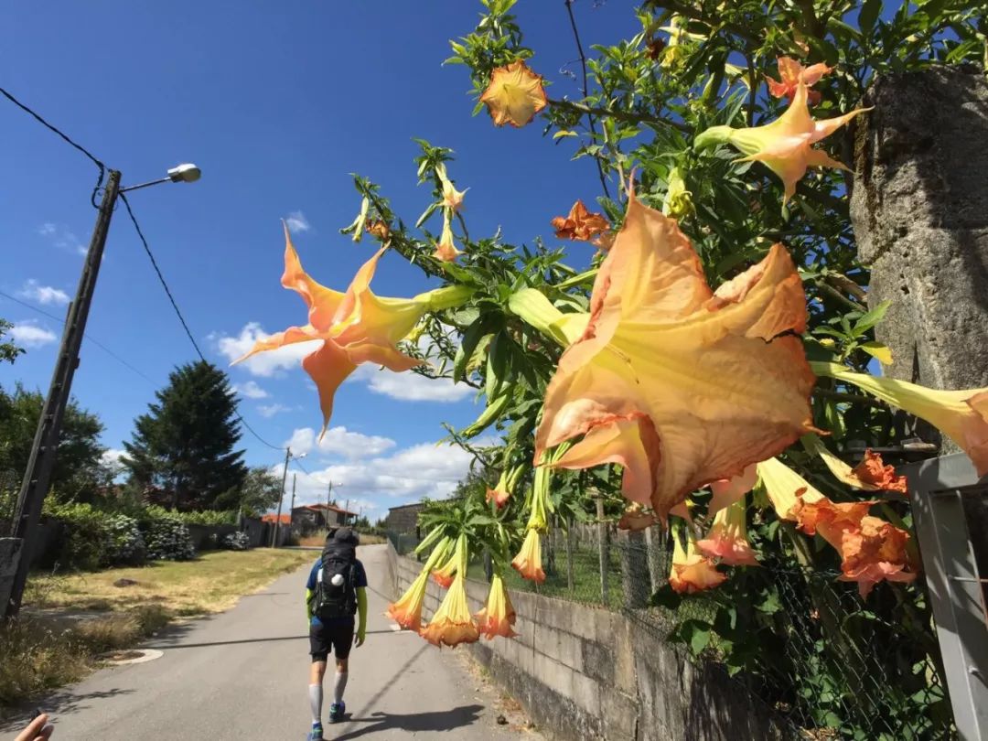 1562051677662360.jpeg 1562051677662360.jpeg