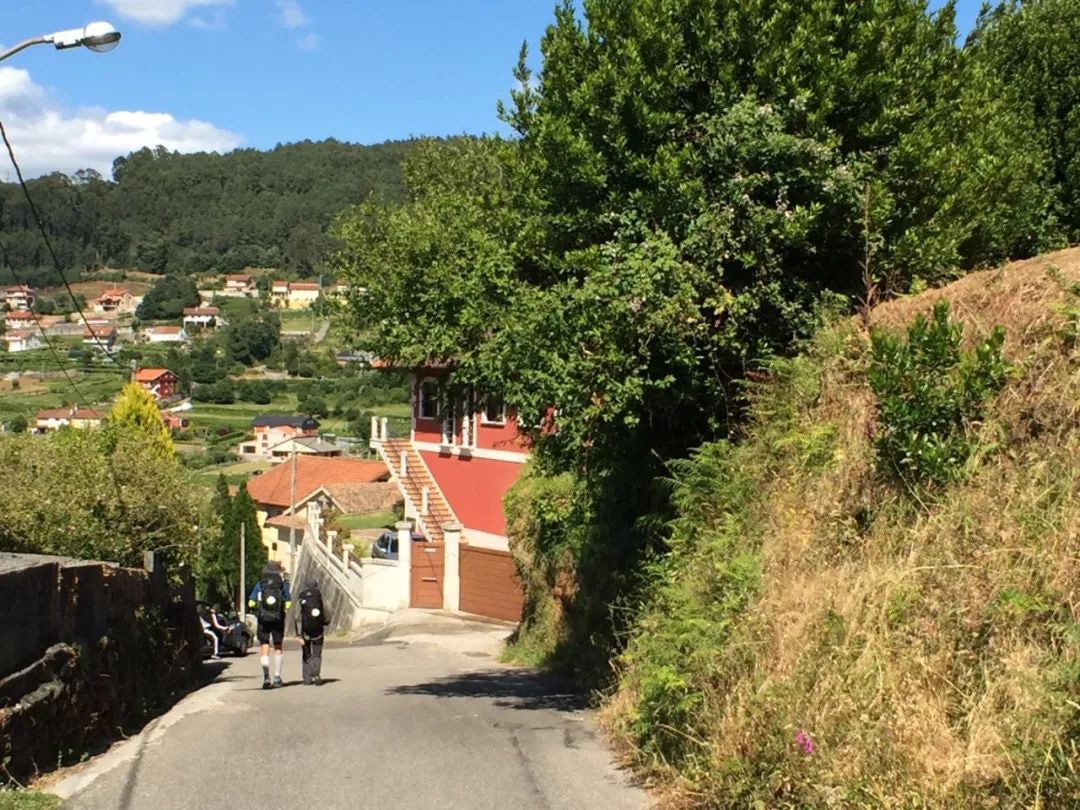 1562051712165467.jpeg 1562051712165467.jpeg