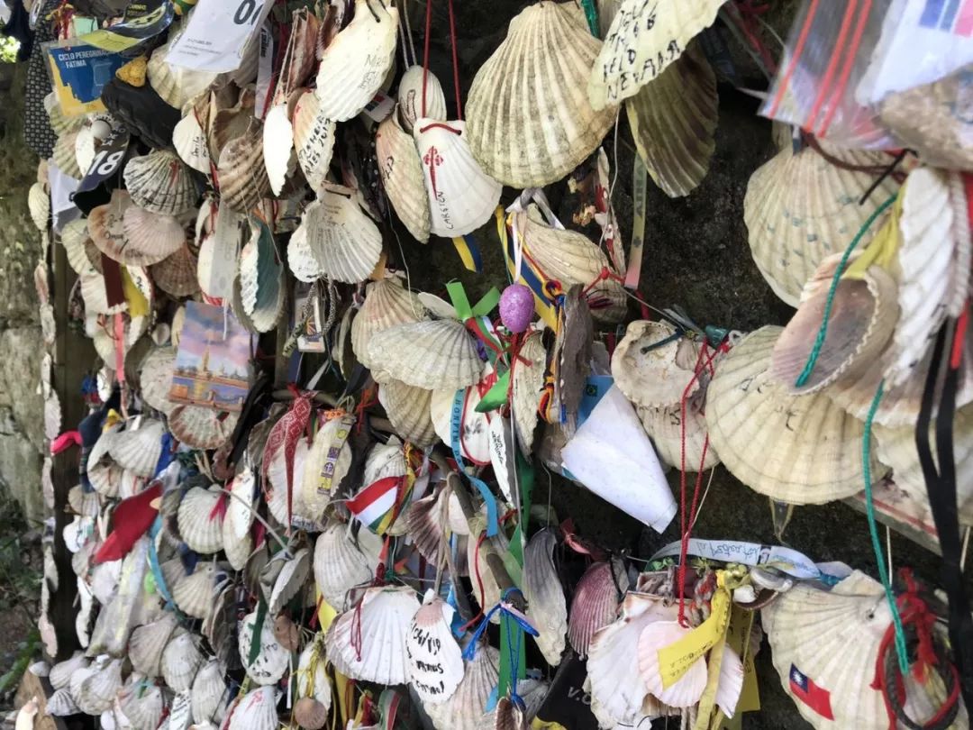 1562051800467956.jpeg 1562051800467956.jpeg