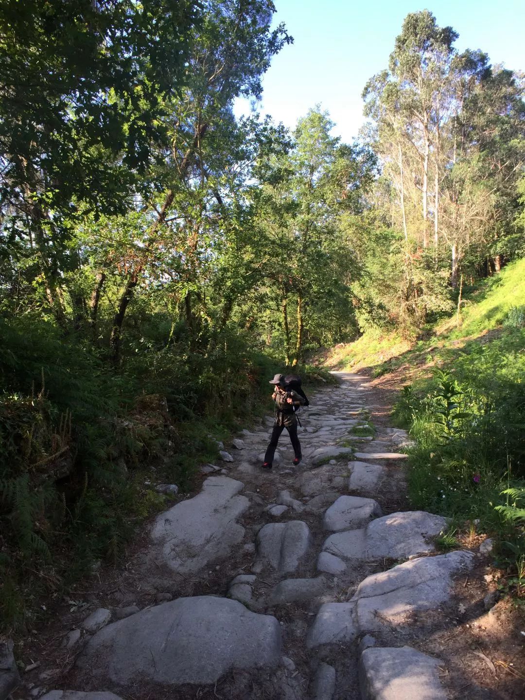 1562052068748368.jpeg 1562052068748368.jpeg