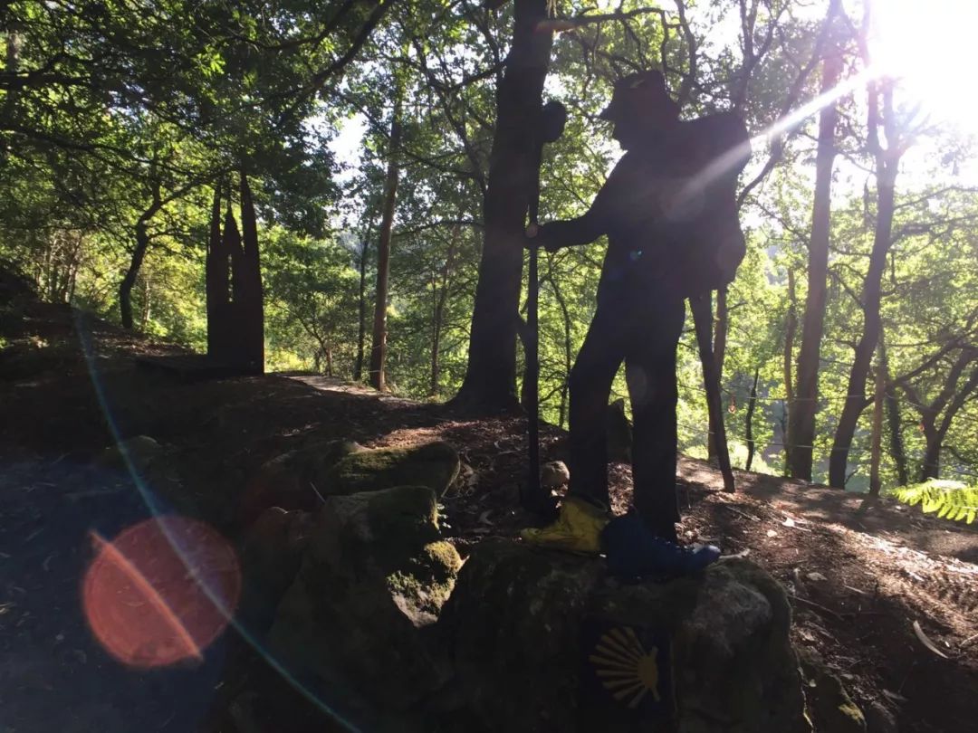 1562052093805050.jpeg 1562052093805050.jpeg