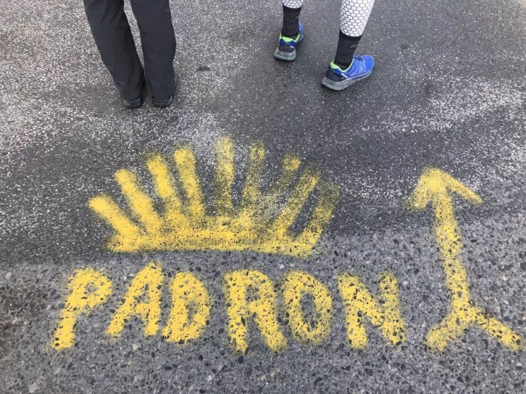 1562052436407873.jpeg 1562052436407873.jpeg