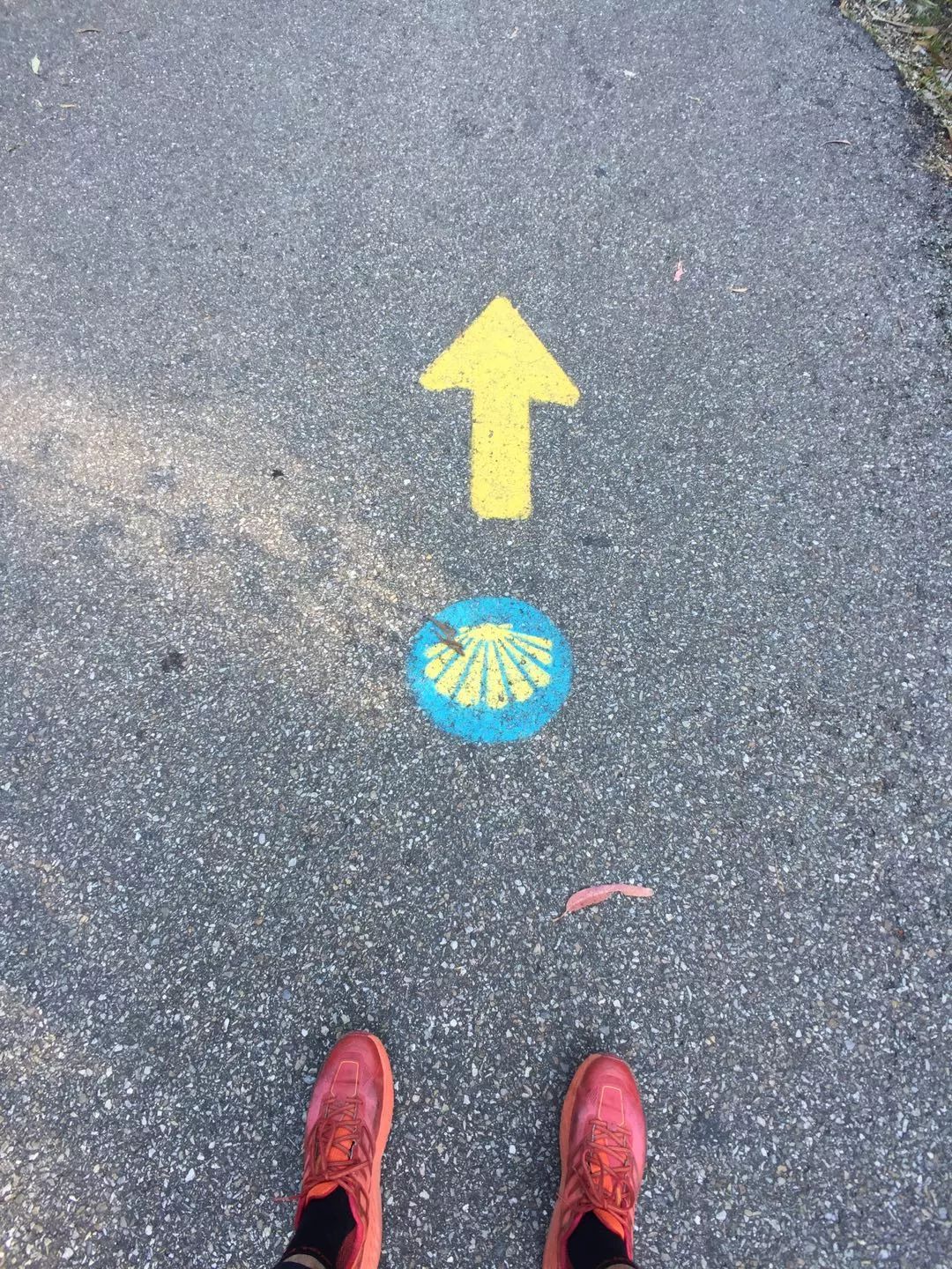 1562052705186910.jpeg 1562052705186910.jpeg