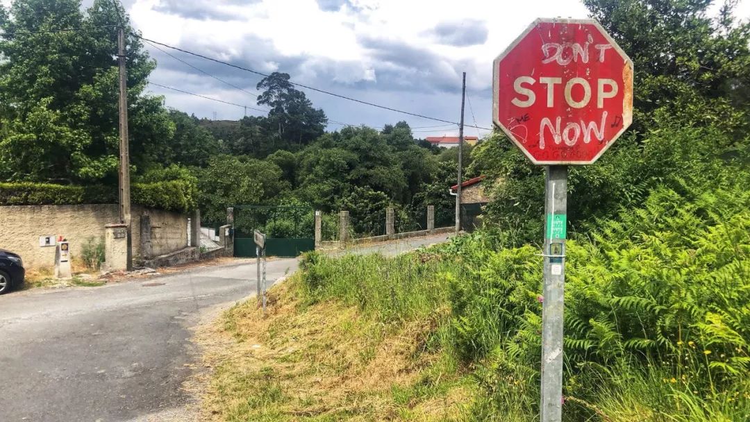 1562052838246128.jpeg 1562052838246128.jpeg