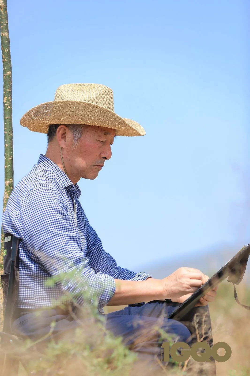 1562214106868094.jpeg 1562214106868094.jpeg